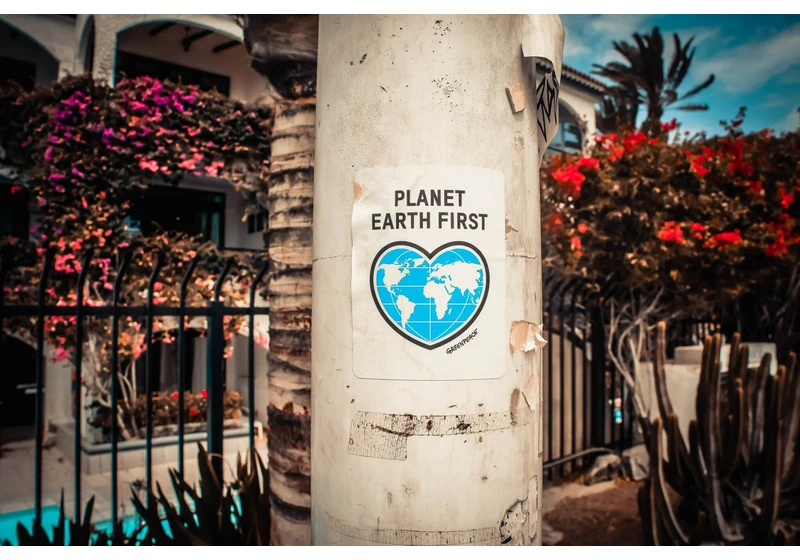 Startups and Sustainability: trends and insights as told by European investors