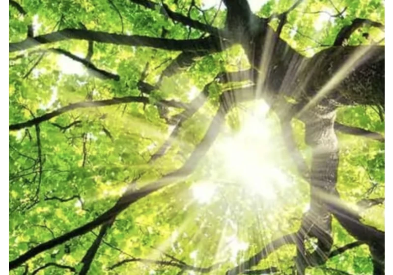 10 ways to create more sustainable websites