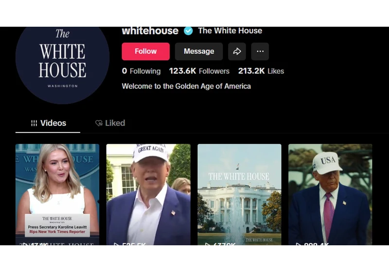 White House Joins TikTok With New Account. Here's What It's Posted So Far