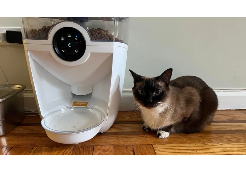 The Whisker Feeder Robot Solved My Cat Feeding Anxiety When I'm Away From Home