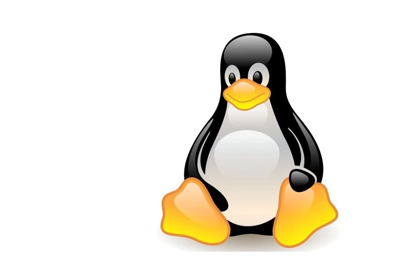  Several major Linux distros hit by serious Sudo security flaws 