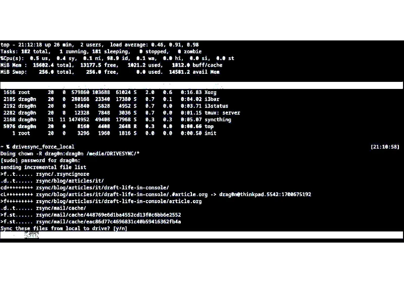 I spent 18 years in the Linux console and I don't regret it