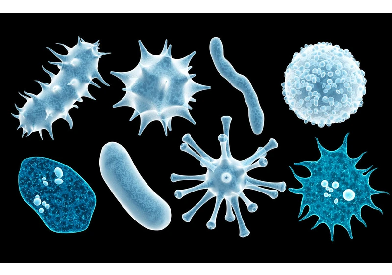 Scientists discover weird virus-like 'obelisks' in the human gut and mouth