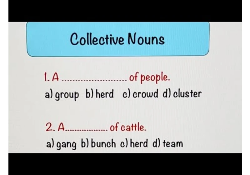 30 Collective Nouns | English Grammar Practice