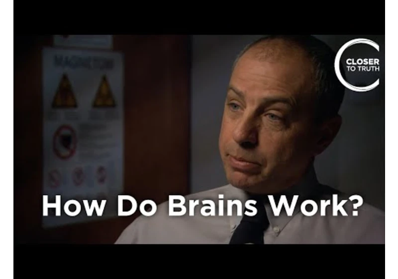John Mazziotta - How Do Human Brains Work?