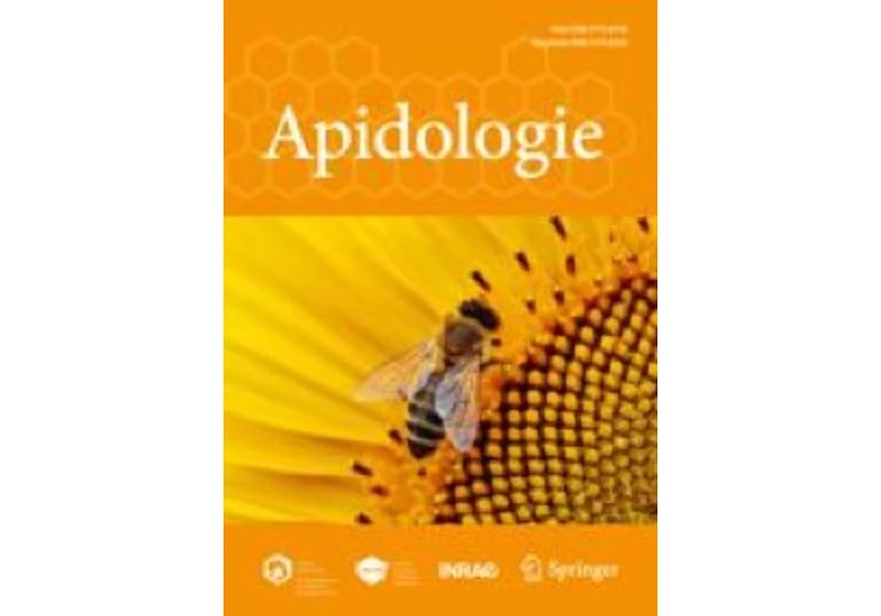 Conditioning honeybees to a mimic odor increases foraging activity