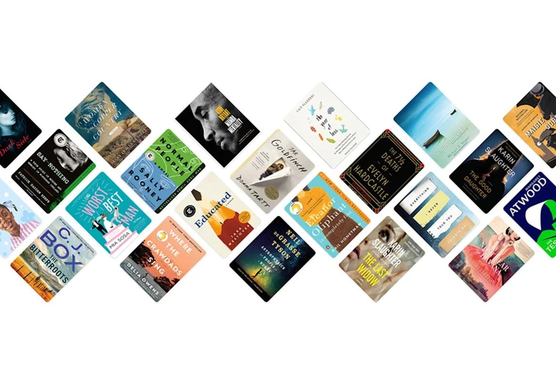 Libby is adding an AI book recommendation feature