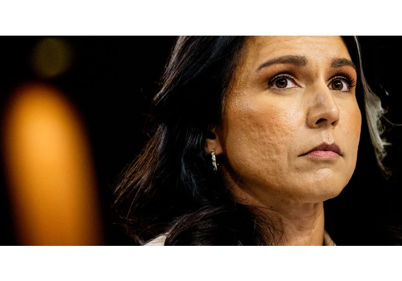 Tulsi Gabbard Reused the Same Weak Password on Multiple Accounts for Years