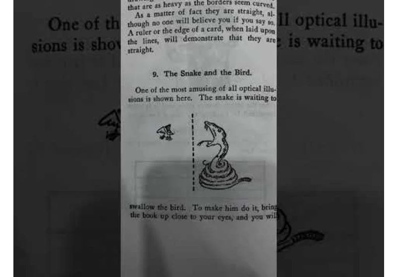 150 Year Old Optical Illusions!! 😳 #Shorts
