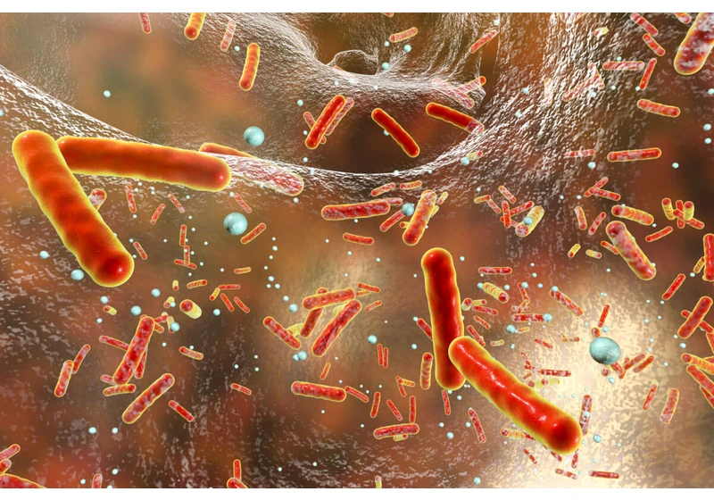 'Achilles heel' of antibiotic-resistant bacteria discovered