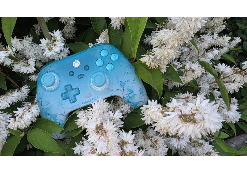  This new third-party Xbox controller is more than just a floral reskin 