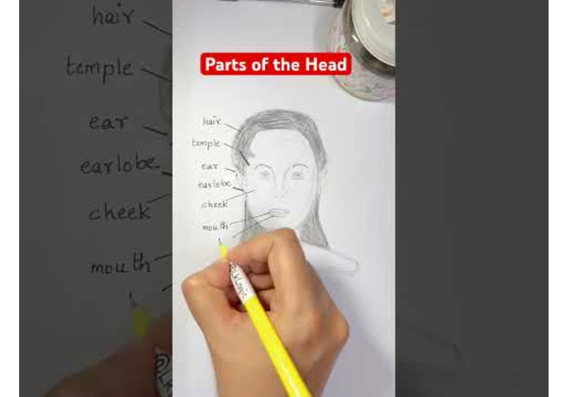 Parts of the Head - Labeled Diagram