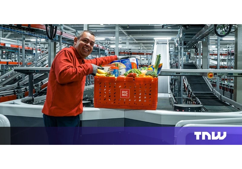 Dutch online supermarket Picnic bags €355mn after international expansion