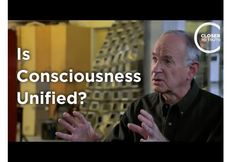 Russ Hurlburt - Is Consciousness Unified?