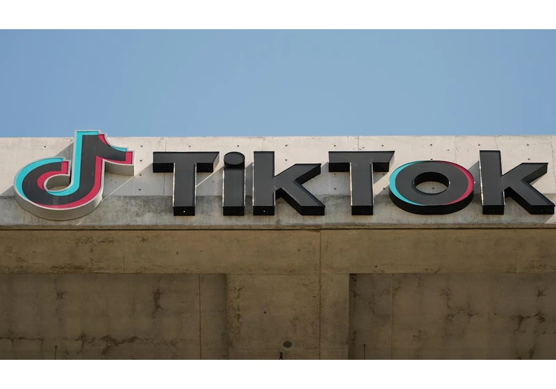 TikTok's CEO urges users to 'protect your constitutional rights' as US ban looms