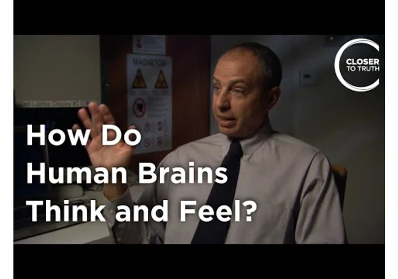 John Mazziotta - How Do Human Brains Think and Feel?