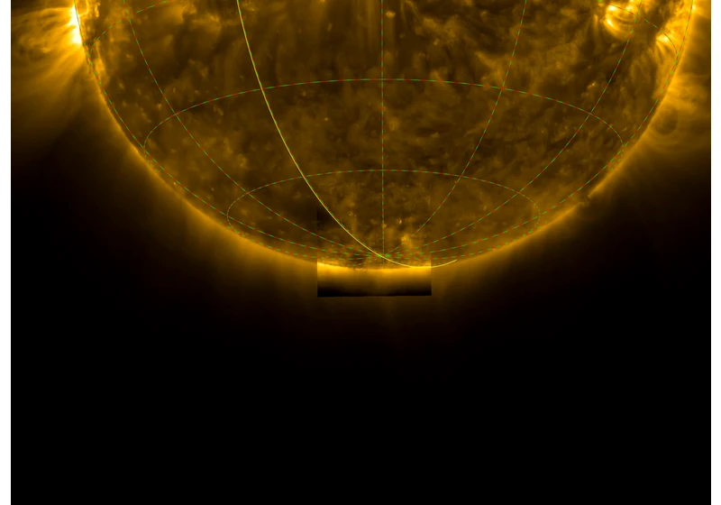 Solar Orbiter gets world-first views of the Sun's poles