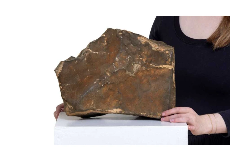 A chunk of Mars just sold for a record-breaking $5.3 million at auction