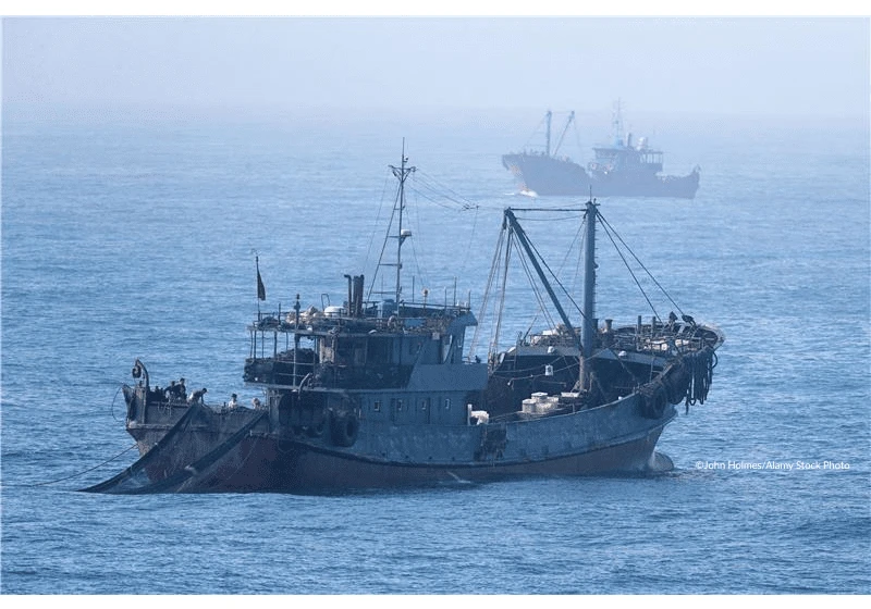 China Dominates 44% of Visible Fishing Activity Worldwide