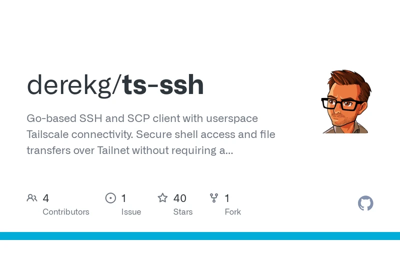 Show HN: Ts-SSH – SSH over Tailscale without running the daemon
