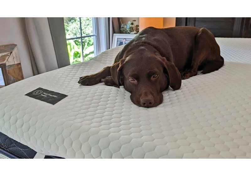I Was Overwhelmed by Mattress Shopping. This $374 Mattress Topper Bought Me a Few More Comfortable Years