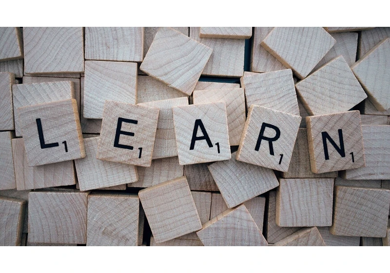 Effective learning: Rules of formulating knowledge (1999)
