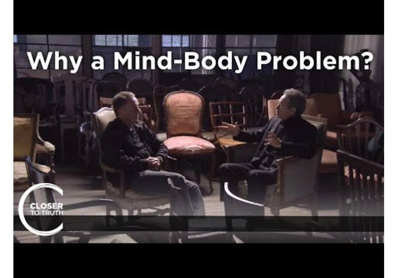Colin McGinn - What is the Mind-Body Problem?