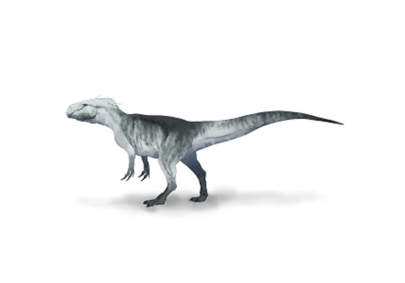 Tajemství teropoda xuanhanosaura