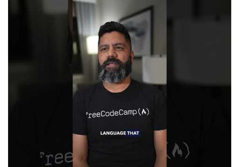 What is Python used for?
