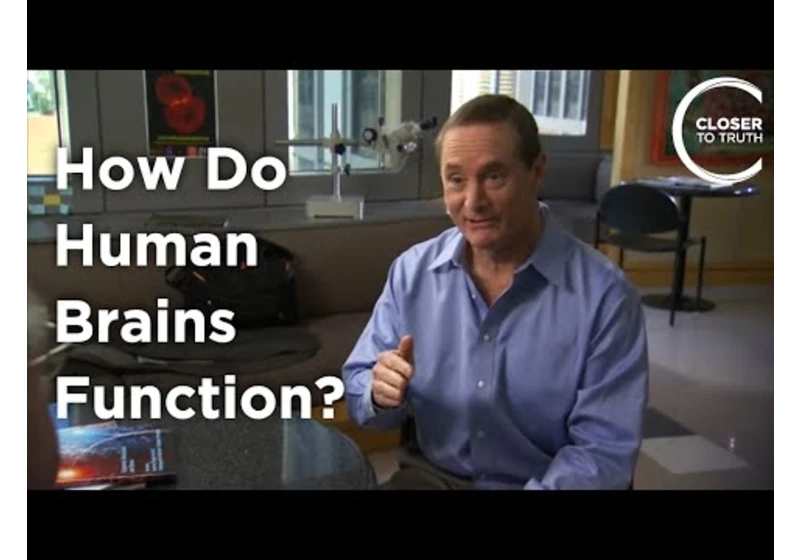 Robert Bilder - How do Human Brains Function?