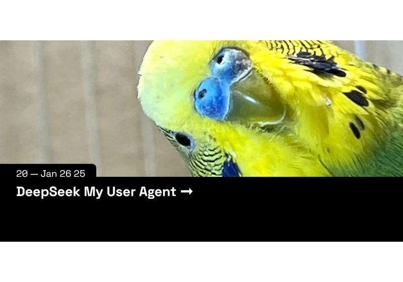 Show HN: DeepSeek My User Agent