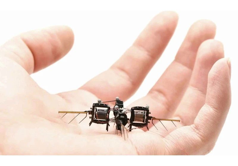 MIT Unveils New Robot Insect, Paving the Way Toward Rise of Robotic Pollinators