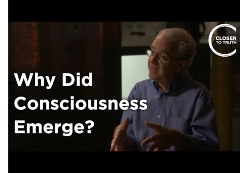 Robert Stickgold - Why did Consciousness Emerge?