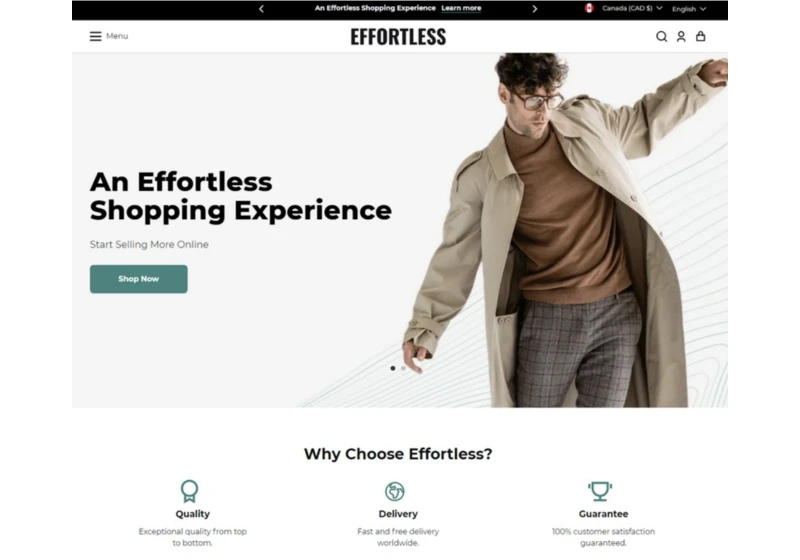 Enhance User Experience with These Minimalist Shopify Themes