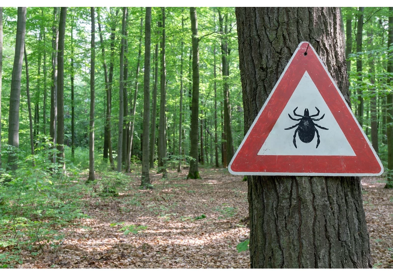 How to prevent Lyme disease this summer