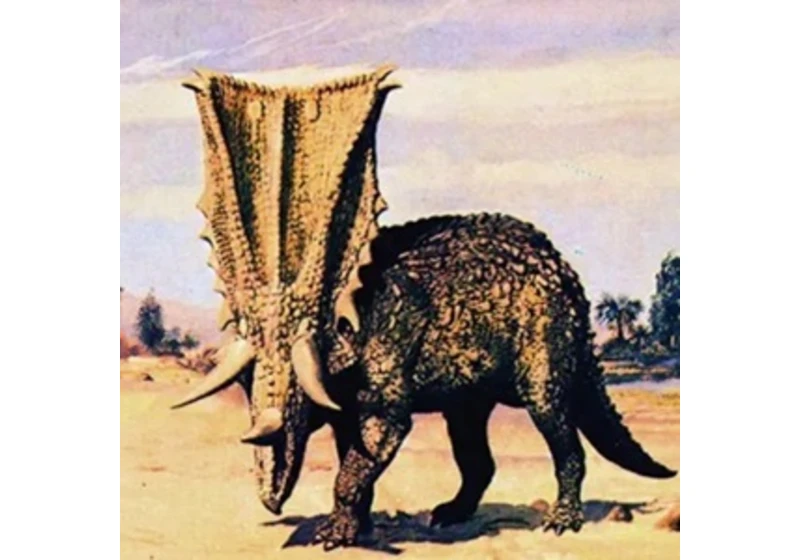 Burianův renesanční ceratopsid