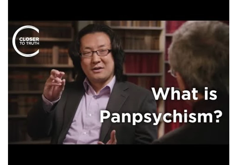 Yujin Nagasawa - What is Panpsychism?