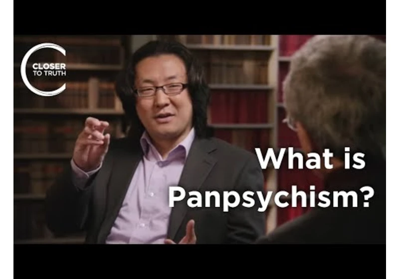 Yujin Nagasawa - What is Panpsychism?