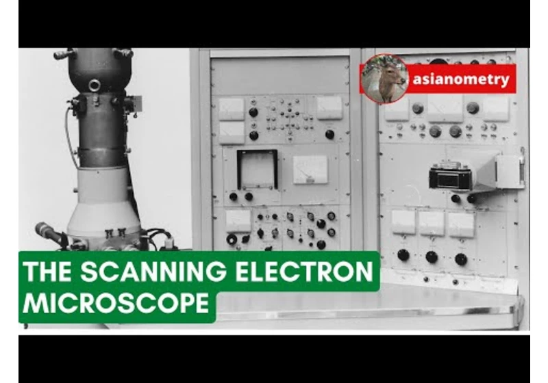The Difficult Birth of the Scanning Electron Microscope