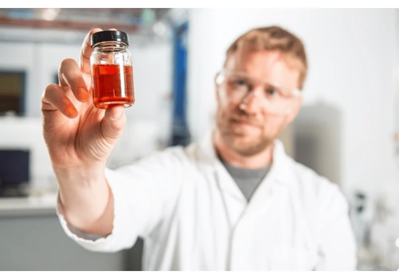 UK-based foodtech startup Clean Food Group gets collaborative backing for its sustainable palm oil alternative from Doehler