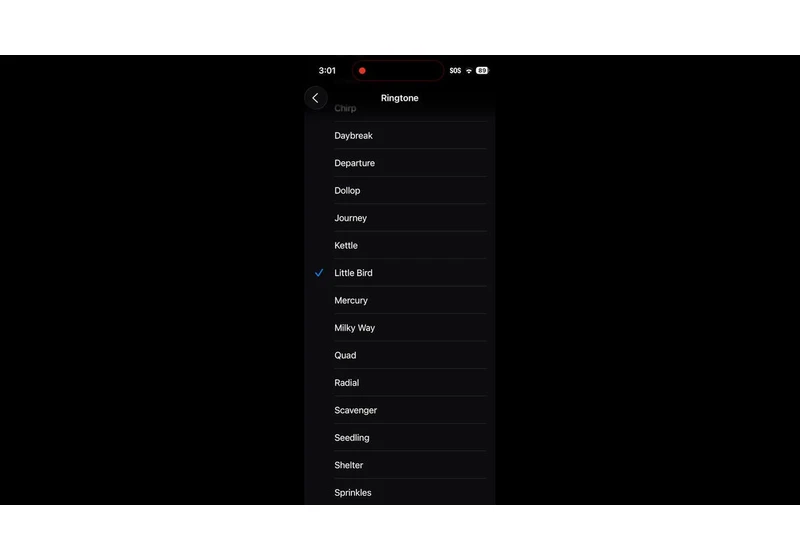Apple's New iOS 26 Ringtones Put a New Twist on 'Reflection' video