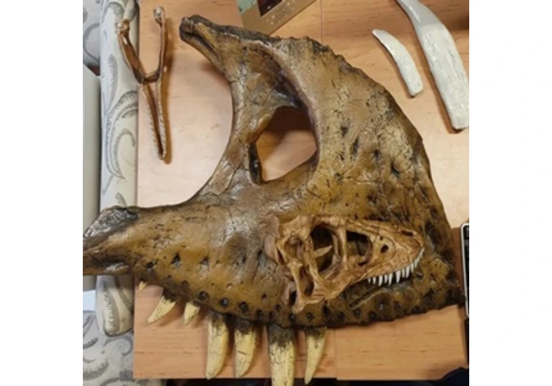 Nanotyrannus možná přece jen existoval