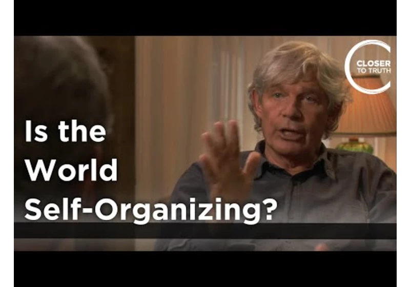 Stuart Kauffman - Is the World Self-Organizing?