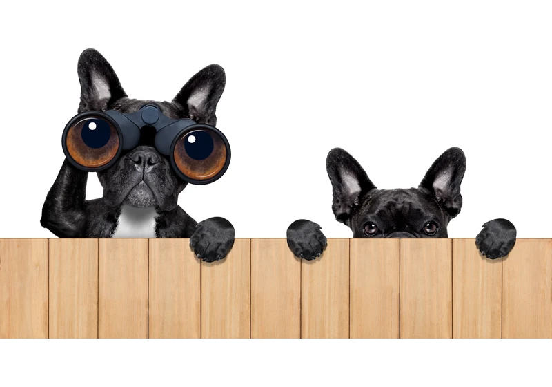 Google Shares Sneak Peek At New Advertising Features via @sejournal, @MattGSouthern