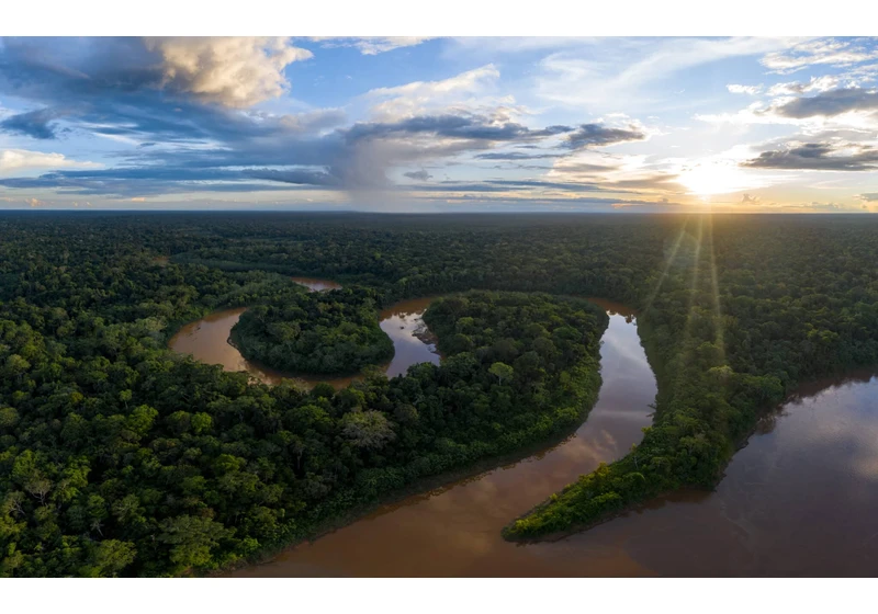 Berlin-based GreenTrade scores fresh funding to build nature-based carbon credits and impact claims marketplace