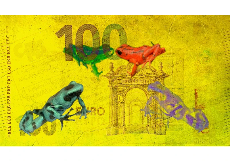 Žabí mafie dovážela na Slovensko ohrožené druhy obojživelníků za miliony