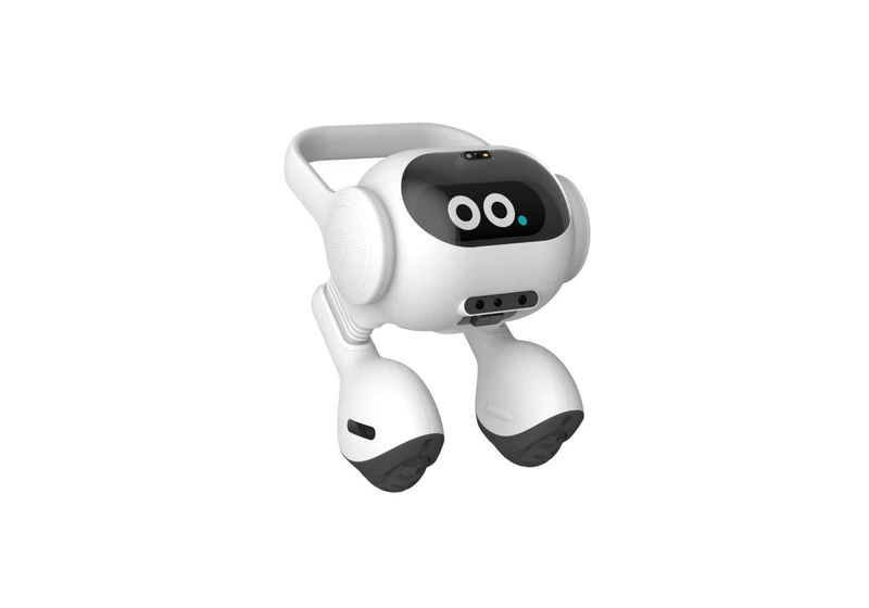 LG developed a two-legged AI-powered robot that can watch your pets for you