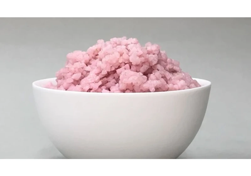 You’ve tried plant-based meat, but here come meat-based plants