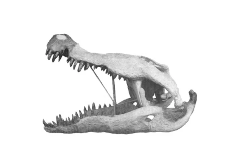 Krokodýlí zabiják dinosaurů