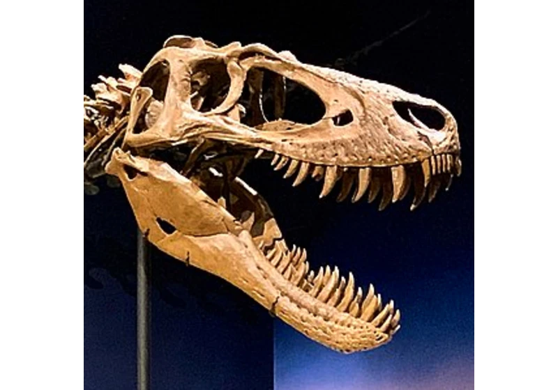 Připravili nás o "nesmrtelnost" druhohorní dinosauři?
